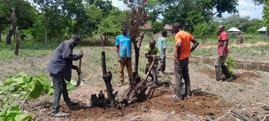 Empower Ghanaian Farmers: Water Access and Sustainable Agriculture